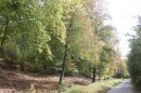 Bois de la Houssaye